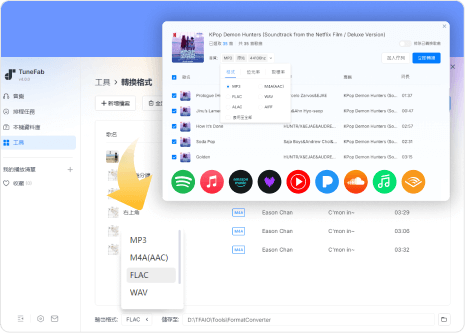 自訂格式輸出音樂，滿足所有聽歌需求