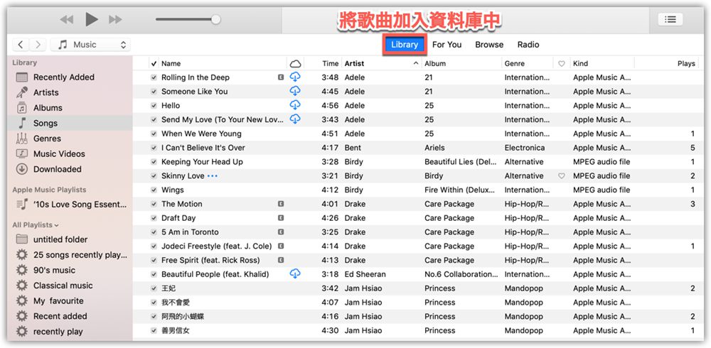 將 Apple Music 音樂添加到資料庫