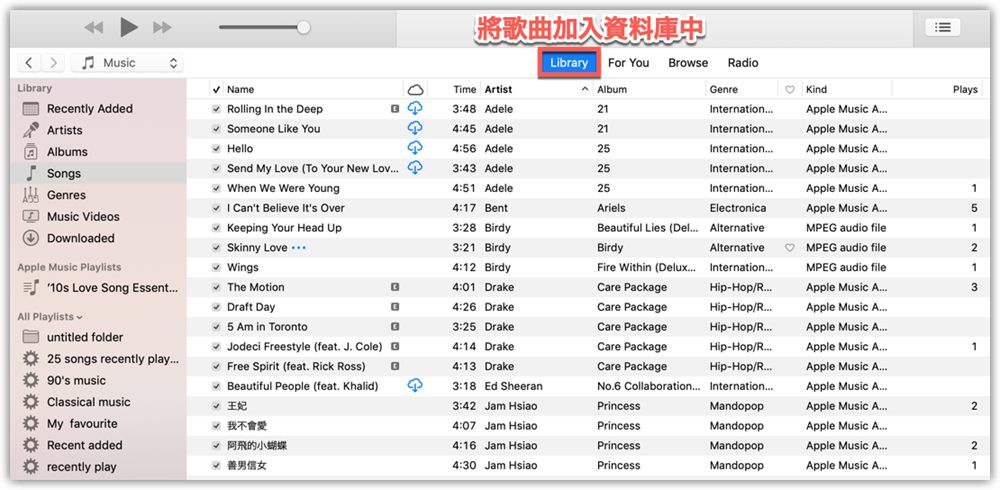將 Apple Music 音樂添加到資料庫