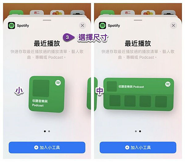 選擇 Spotify 桌面小工具