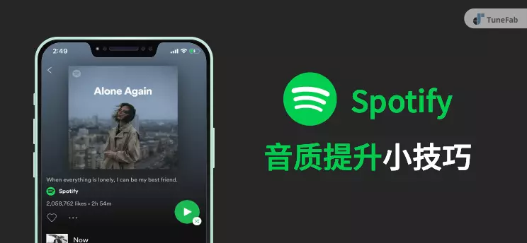 改善 Spotify 音質