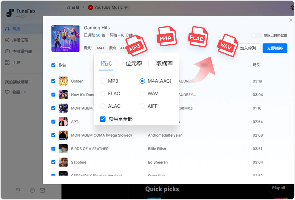 自訂 YouTube 音樂格式