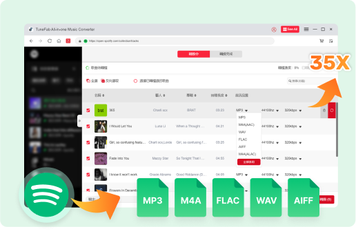 下載 Spotify 音樂為 MP3、M4A、FLAC 等高質量音訊檔