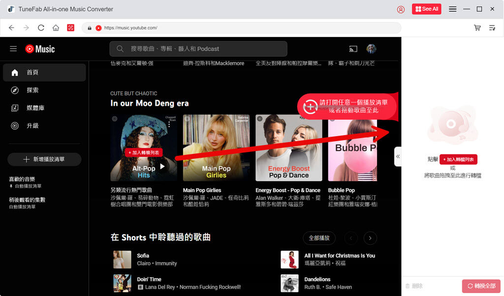 添加 YouTube 播放清單或歌曲
