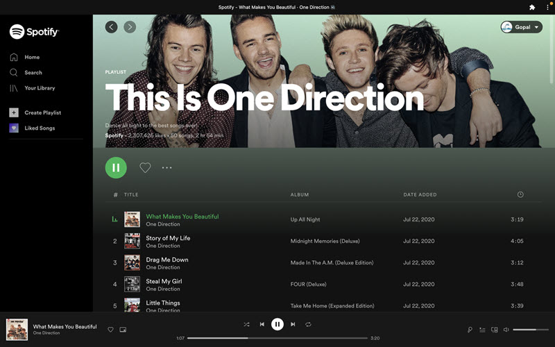 電腦 Chrome 擴充套件破解 Spotify