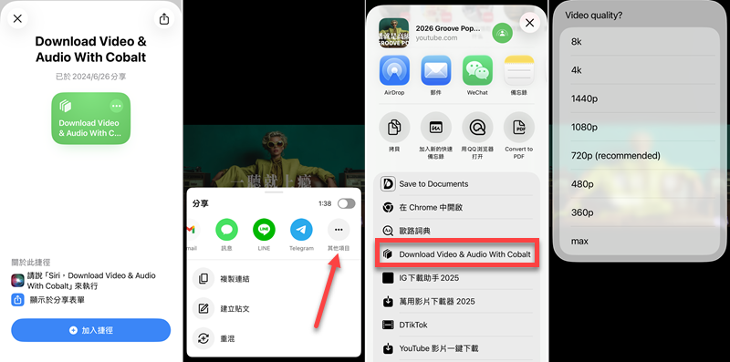 Cobalt  iOS 腳本 YT 離線播放