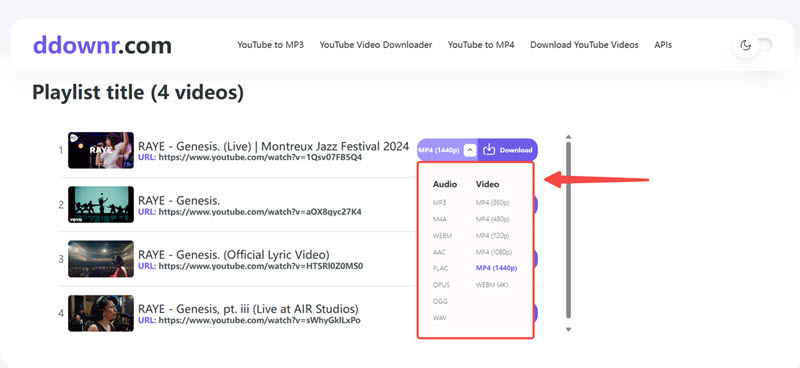 Ddownr 修改 YouTube 下載設定