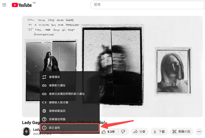 進入 YouTube 統計資料版面