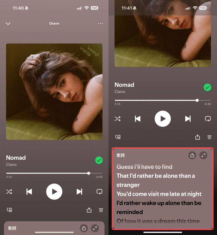 手機查看 Spotify 歌詞