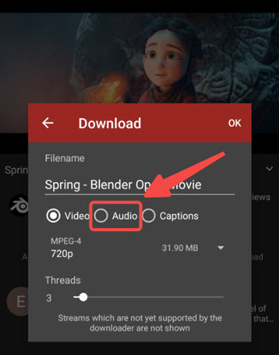 NewPipe APP 將 YouTube 音樂下載到手機