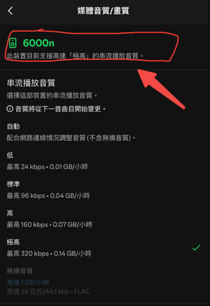 Spotify Connect 無法聆聽無損音樂