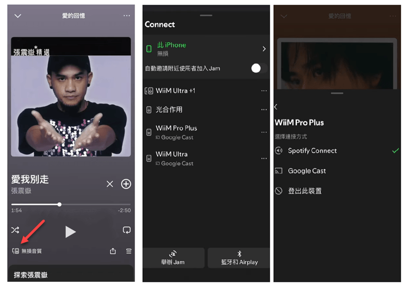 Spotify Connect 多裝置無縫聽歌