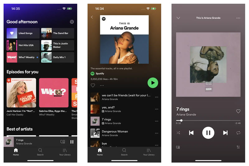 Spotify++ 應用程式介面