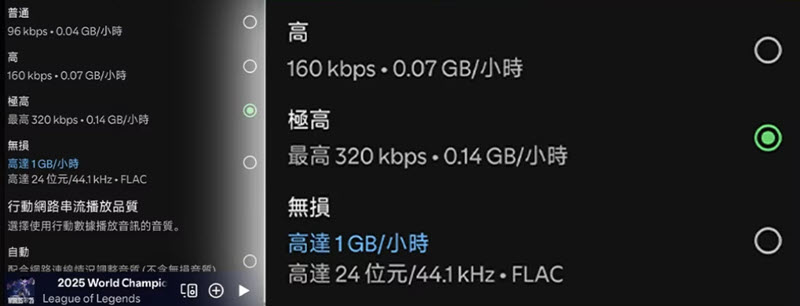 Spotify 無損比特率具體參數