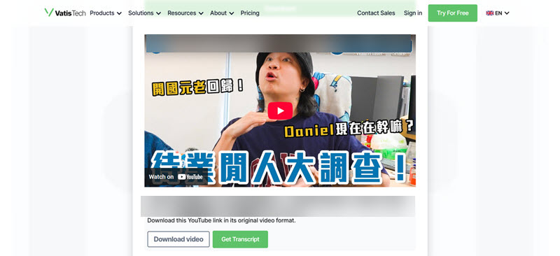 VatisTech 免安裝 YouTube 下載網站